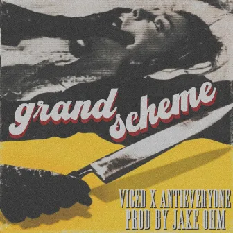 GRAND SCHEME by VICED