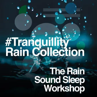 #Tranquillity Rain Collection by Unknown Artist