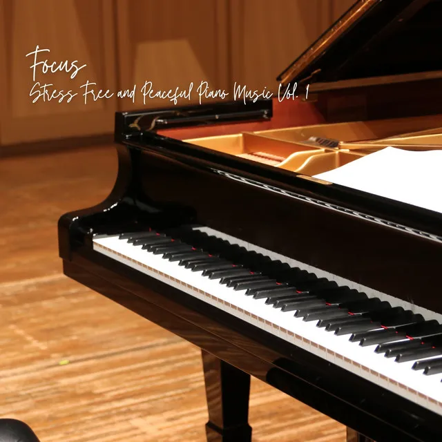 Focus: Stress Free and Peaceful Piano Music Vol. 1