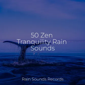 50 Zen Tranquility Rain Sounds by Canciones de Cuna para Bebés Acadèmico