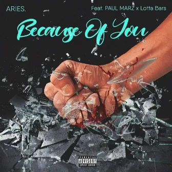 Because of You by Aries.