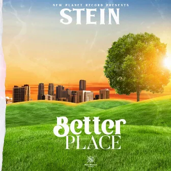 Better Place by Stein