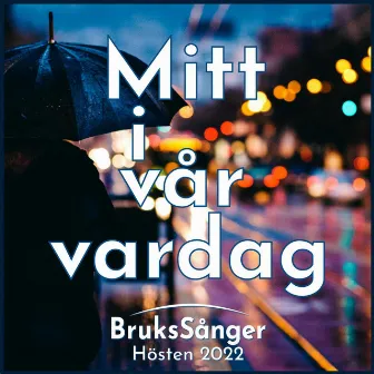 Mitt i vår vardag by Brukssånger