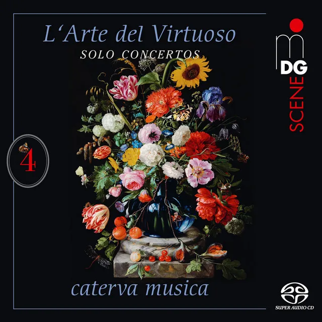 Concerto con Viola d'amore in D Major, RV 392: II. Largo