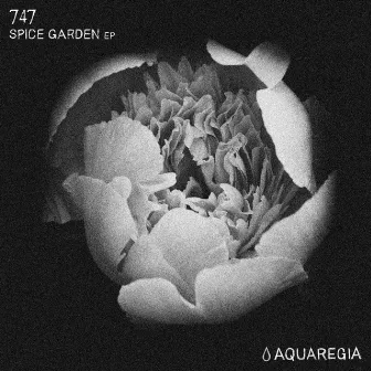 Spice Garden EP by 747