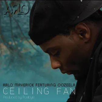 Ceiling Fan by Arlo Maverick