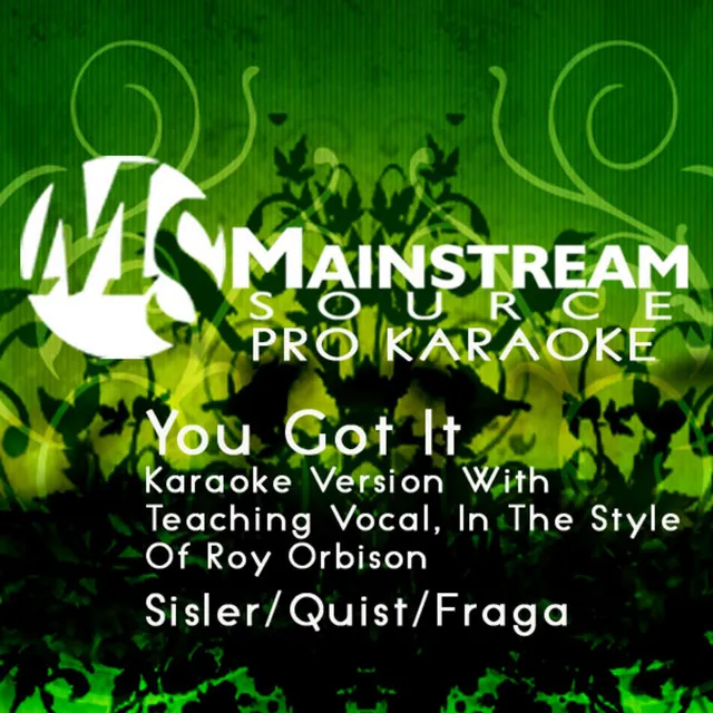 You Got It (Karaoke Version With Teaching Vocal In The Style Of Roy Orbison) [feat. Chad Quist and Andrew Fraga, Jr.]