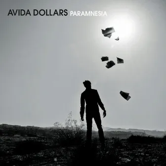 Paramnesia by Avida Dollars