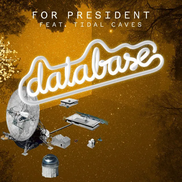 For President (feat. Tidal Caves) - F82 Remix