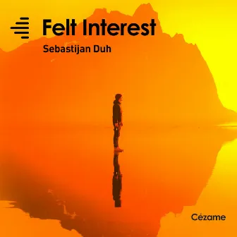 Felt Interest by SEBASTIJAN DUH