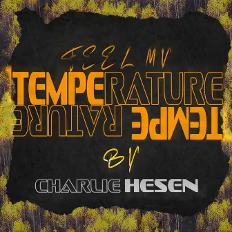 Feel My Temperature by Charlie Hesen