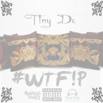 #WTF!P (What the Fuck Is a Pillow) - Single by Tiny Dc