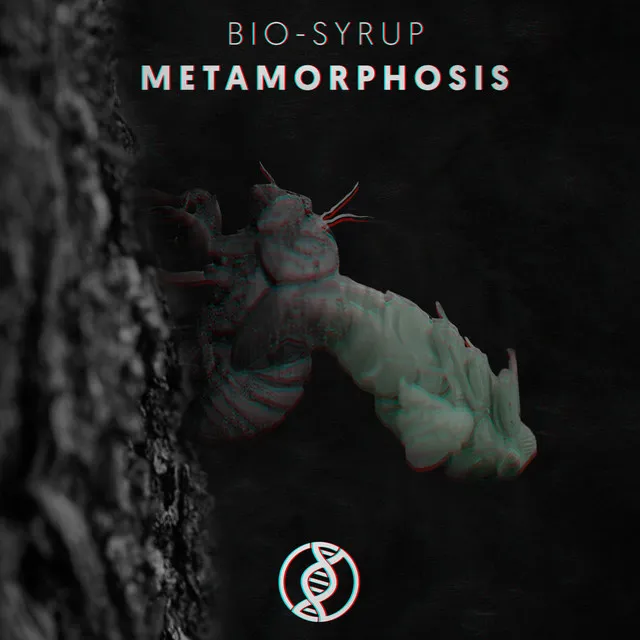 Metamorphosis