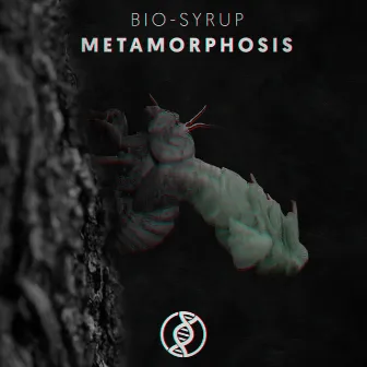 Metamorphosis by Biosyrup