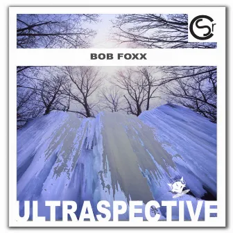 Ultraspective by Bob Foxx