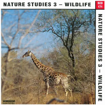 Nature Studies, Vol. 3: Wildlife by Mac Prindy