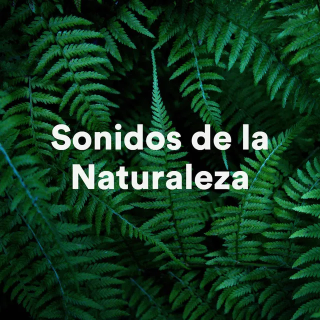 Sonidos de la Naturaleza