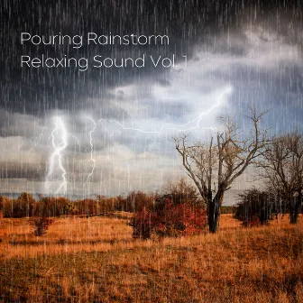 Pouring Rainstorm Relaxing Sound Vol. 1 by Baby Yoda