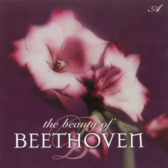 The Beauty of Beethoven by Michael Maxwell