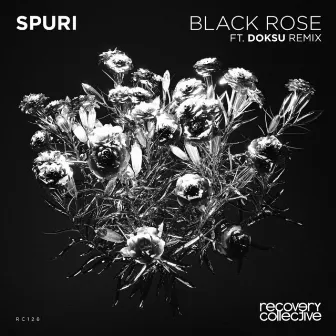 Black Rose by SPURI