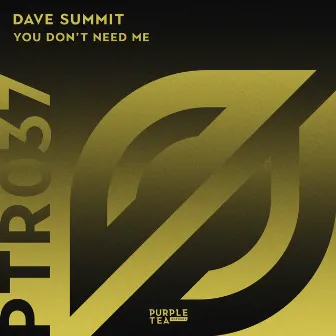 You Don't Need Me (Radio Edit) by Dave Summit