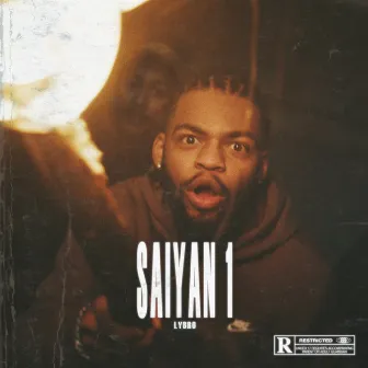 Saiyan 1 by Lybro