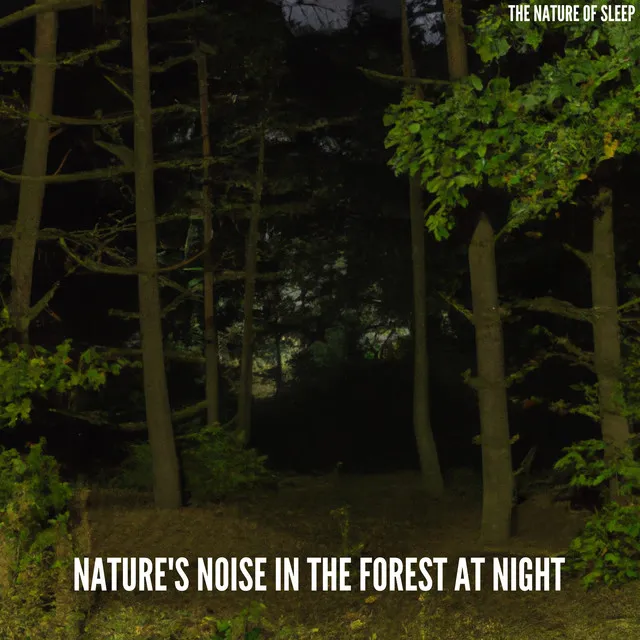 Nature's Noise in the Forest at Night 21