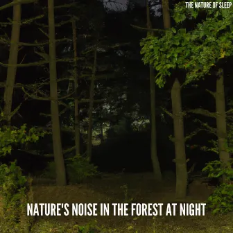 Nature's Noise in the Forest at Night by 