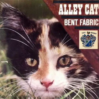 Alley Cat by Bent Fabric