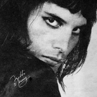 Freddie by Carlo Frigeri