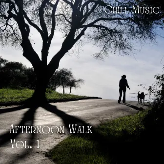 Chill Music: Afternoon Walk Vol. 1 by Cool Cats 1940s Jazz