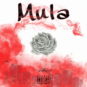 Mula by Sosa B2