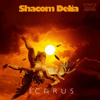 Icarus by Shacom Delia