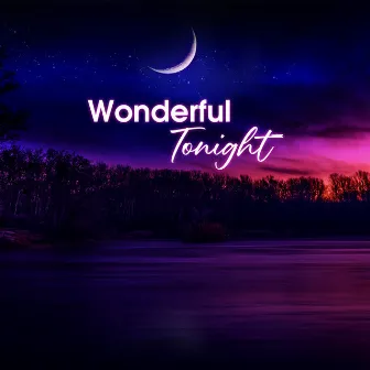 Wonderful Tonight by NS Records