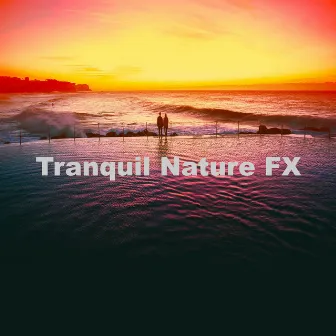 Tranquil Nature FX by Night Nature Sounds