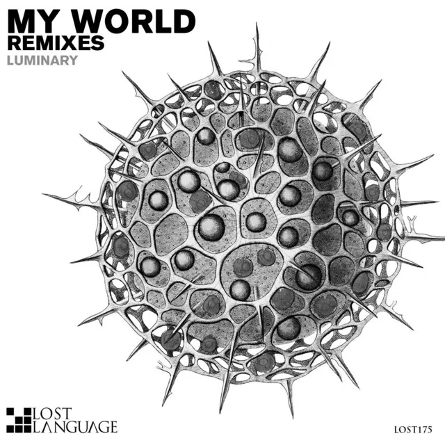 My World - Amir Abbasi Remix