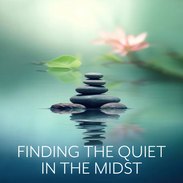 Finding the Quiet in the Midst