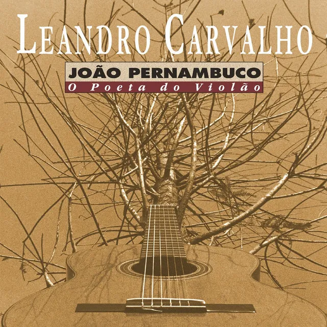 João Pernambuco o Poeta do Violão