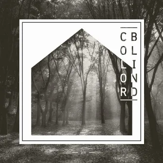 Colorblind by Irn