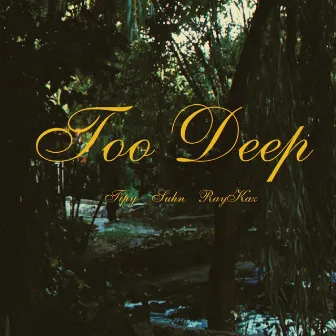 Too Deep by Tipy