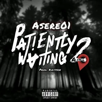 Patiently Waiting 2 by Asere01