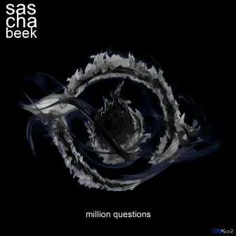 Million Question by Sascha Beek