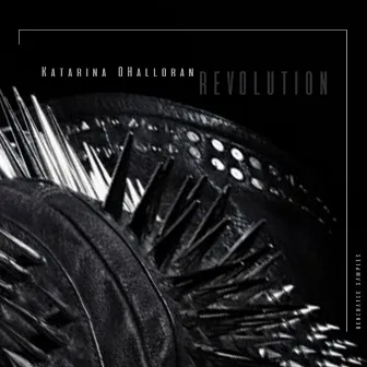 Revolution by Unknown Artist