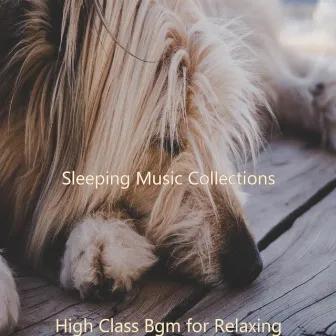 High Class Bgm for Relaxing by Sleeping Music Collections