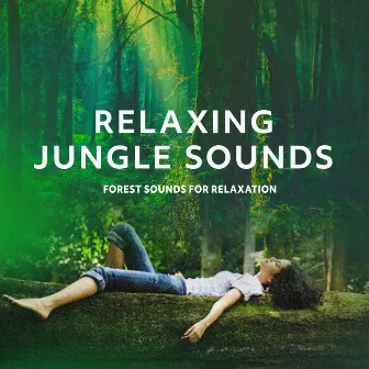 Relaxing Jungle Sounds by Forest Sounds For Relaxation