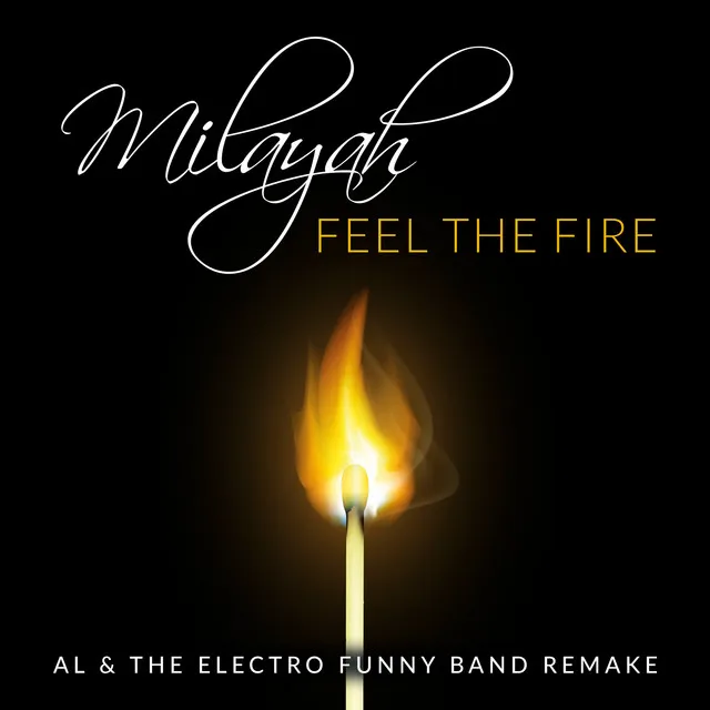 Feel the Fire - Al & The Electro Funny Band Remake