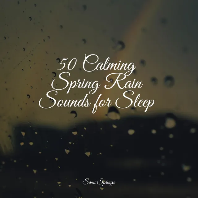 50 Calming Spring Rain Sounds for Sleep