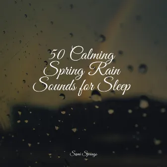 50 Calming Spring Rain Sounds for Sleep by Meditation Music Club