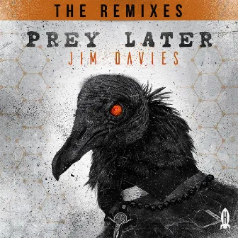 Prey Later (The Remixes) by Jim Davies