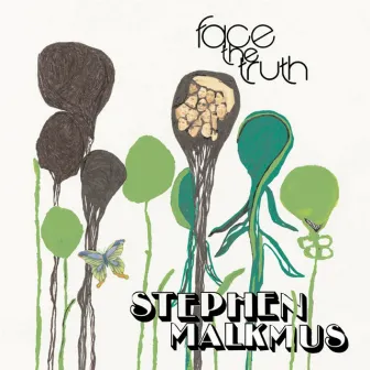 Face The Truth by Stephen Malkmus